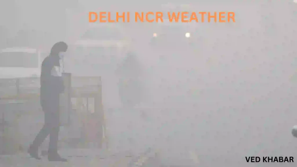 DELHI NCR
