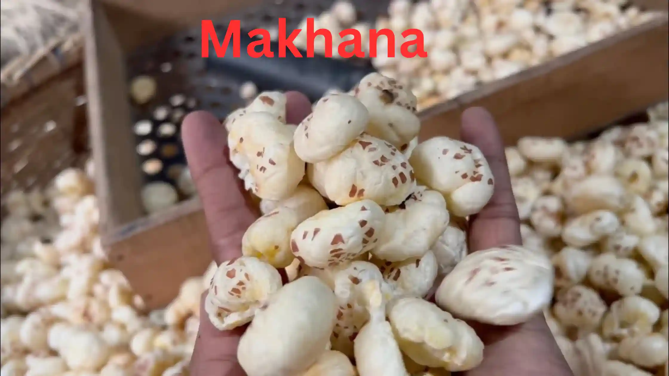 Makhana