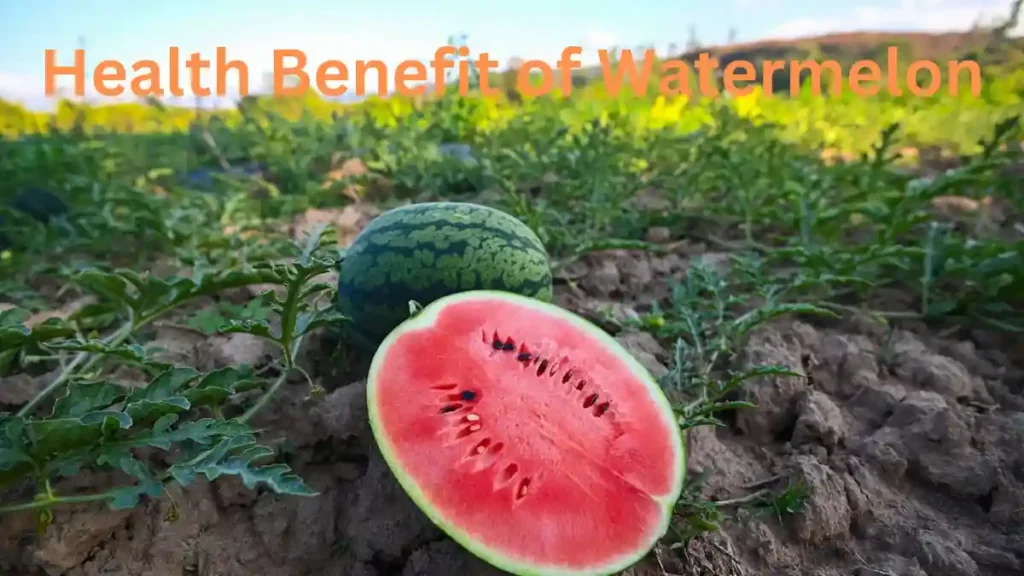 Watermelon: The Ultimate Summer Super food – Hydration, Health Benefits & Who Should Avoid It