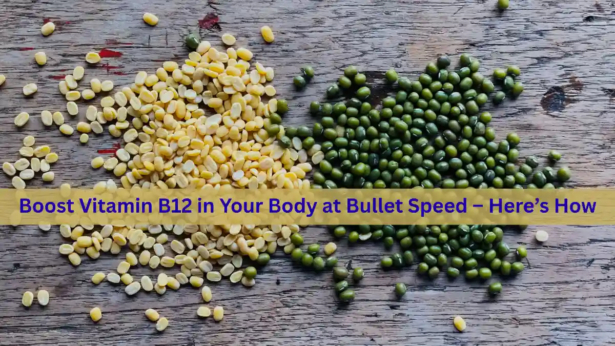 Boost Vitamin B12 in Your Body at Bullet Speed – Here’s How